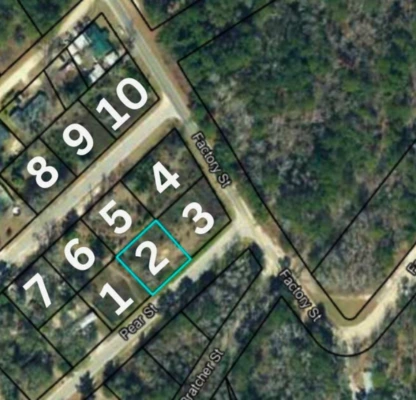 Pear St Ludowici Georgia 31316